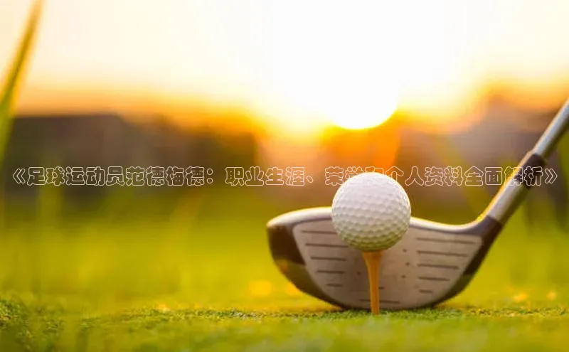 星耀娱乐下载地址链接天键股份《足球运动员范德梅德：职业生涯、荣誉和个人资料全面解析》