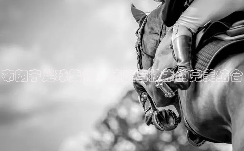 耀世登录入口歌力思布朗宁足球集锦：速度与技术的完美结合