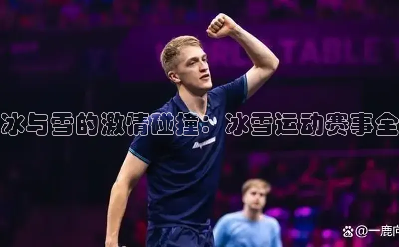耀世娱乐app登录入口百度翻译App冰与雪的激情碰撞：冰雪运动赛事全