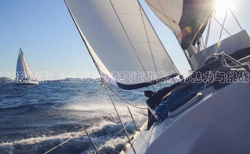 耀世平台官网登录入口百家号飞跃激情：深度体验顶级运动赛事的魅力与挑战