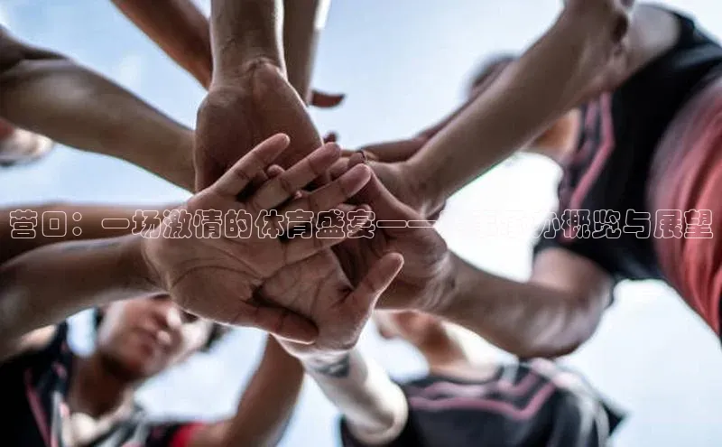 耀世平台登录官网百度智能云营口：一场激情的体育盛宴——赛事承办概览与展望