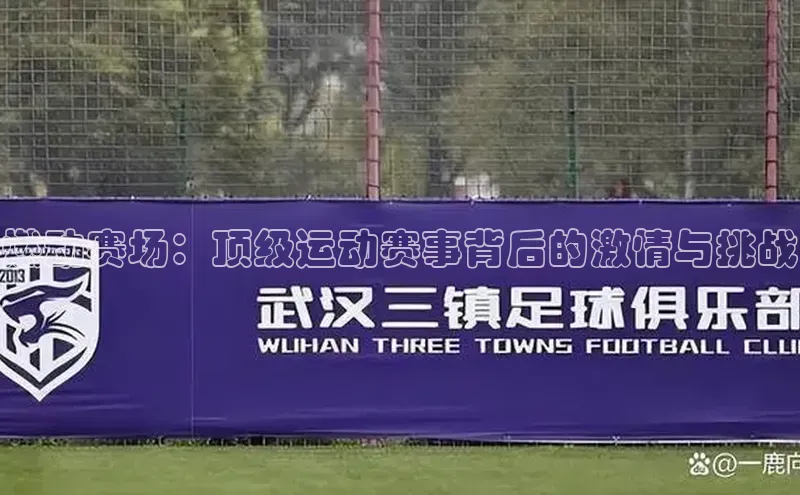 燃动赛场：顶级运动赛事背后的激情与挑战