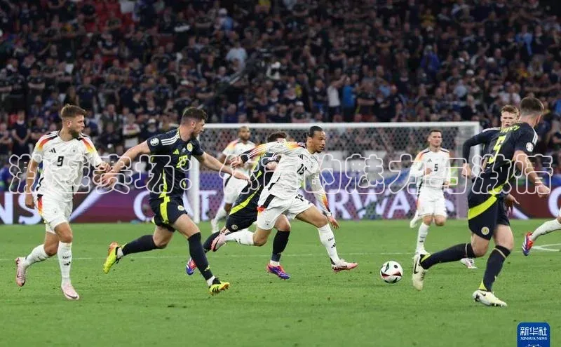 激越赛场：体育的魅力与激情