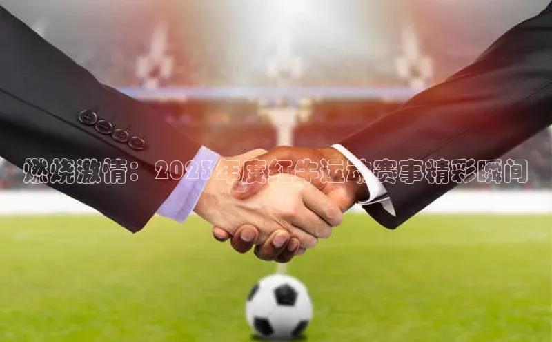 燃烧激情：2023年度红牛运动赛事精彩瞬间