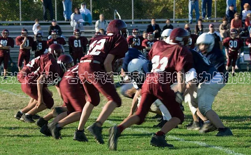 竞速之巅：各大汽车运动赛事的魅力与挑战