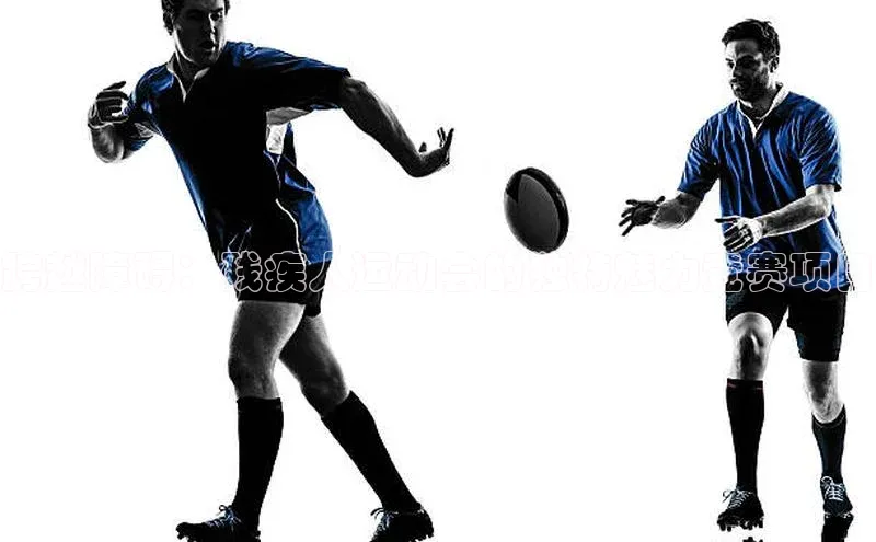 跨越障碍：残疾人运动会的独特魅力竞赛项目