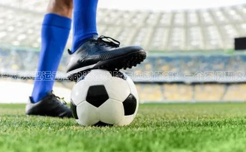 剖析大型运动会的潜在风险与应对策略：一个案例研究