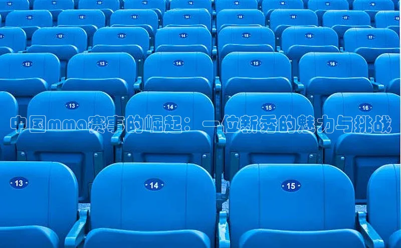中国mma赛事的崛起：一位新秀的魅力与挑战