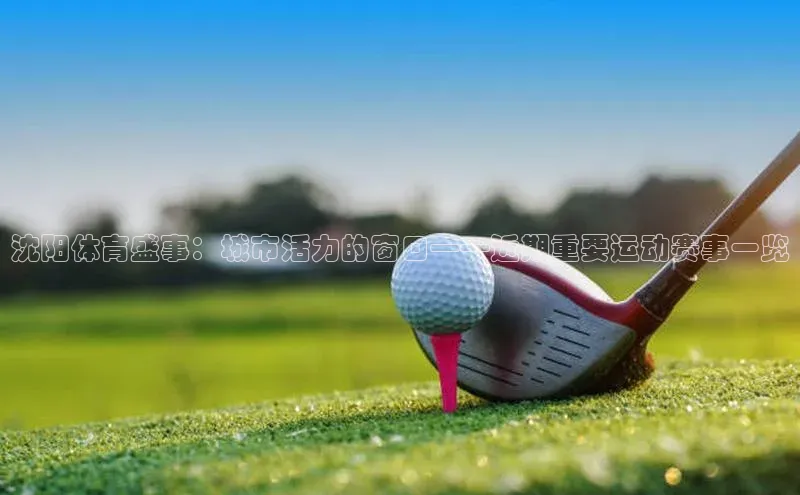 沈阳体育盛事：城市活力的窗口——近期重要运动赛事一览