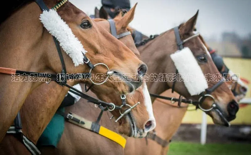 活力郑州：探讨2023年大型运动会的精彩瞬间与未来展望