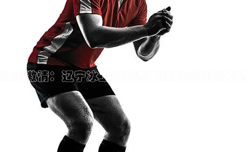 冰火激情：辽宁冰上运动赛事精彩回顾与展望