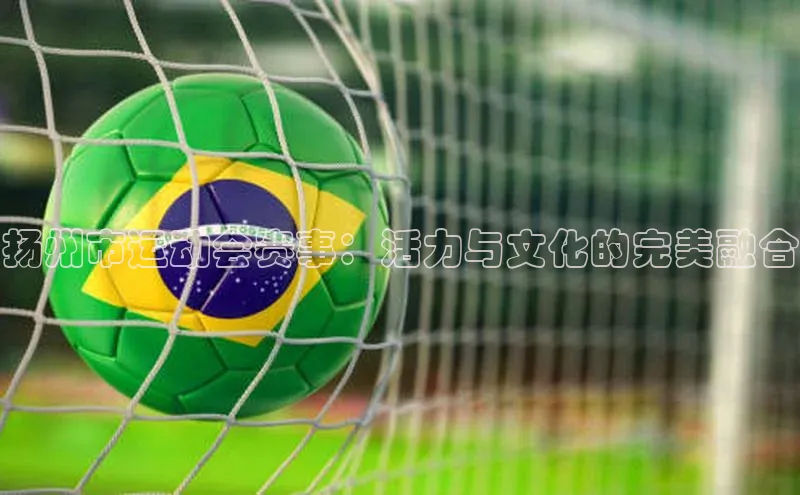 扬州市运动会赛事：活力与文化的完美融合